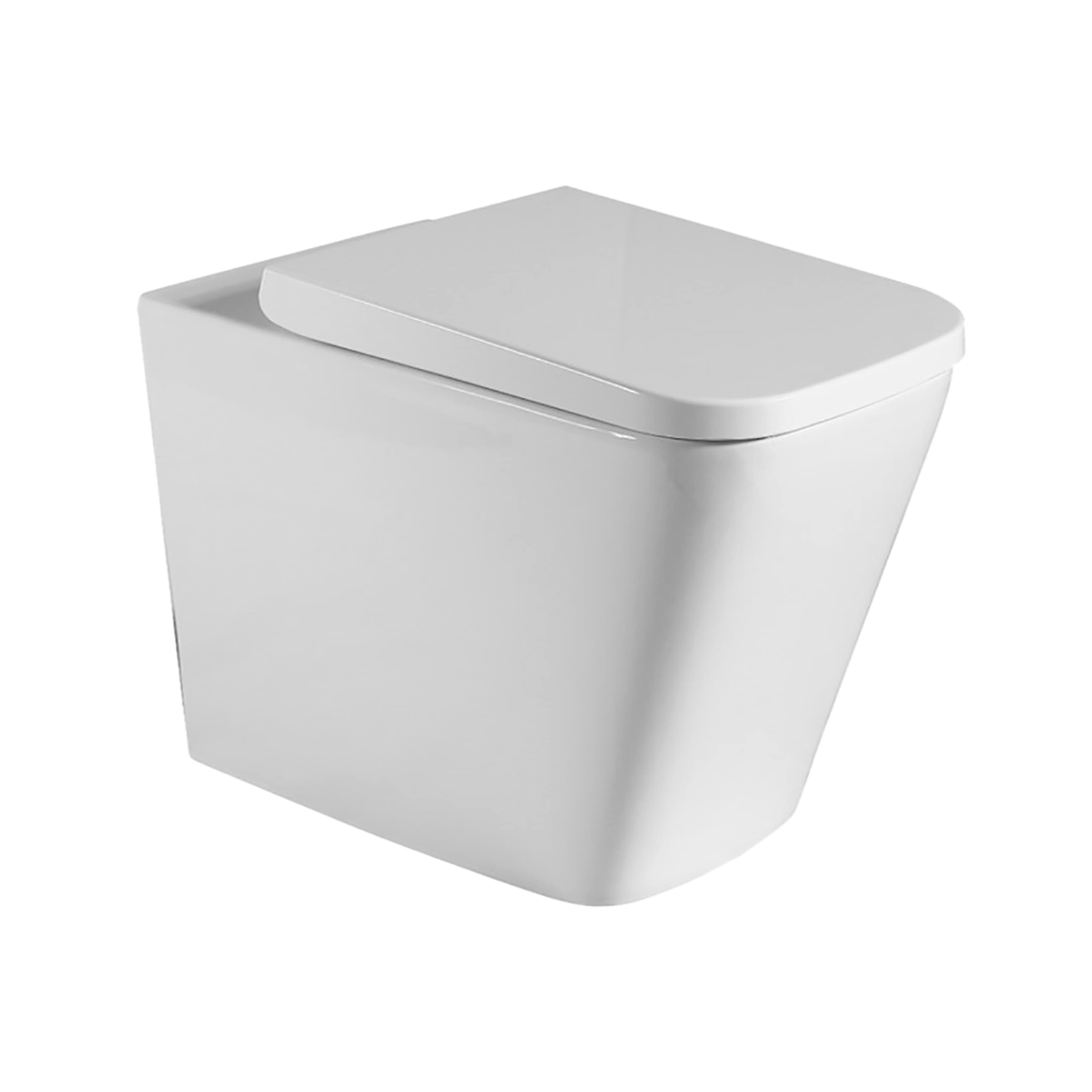 Toilet (Pan Only) — product image